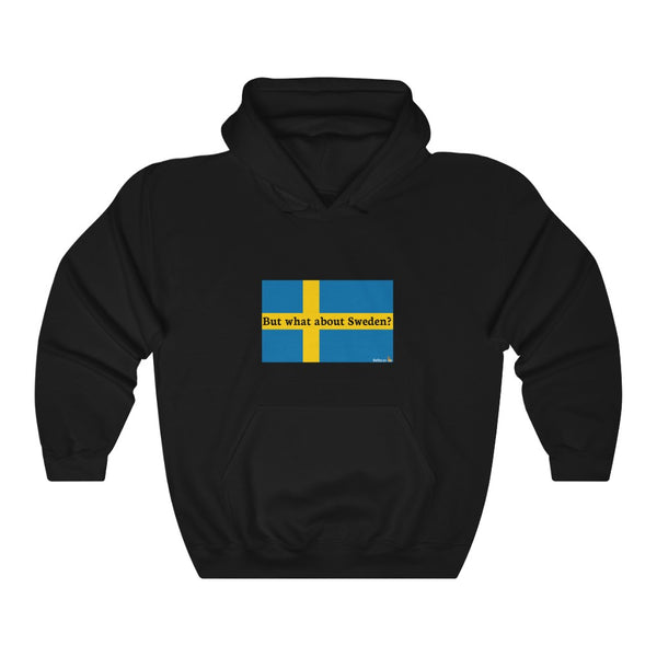 But what about Sweden? hoodie